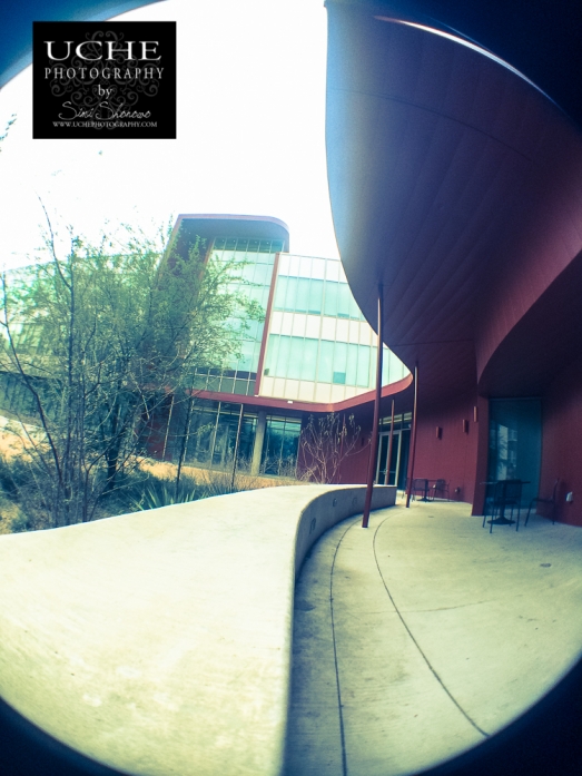 20150221.building curve fisheye shot.jpg