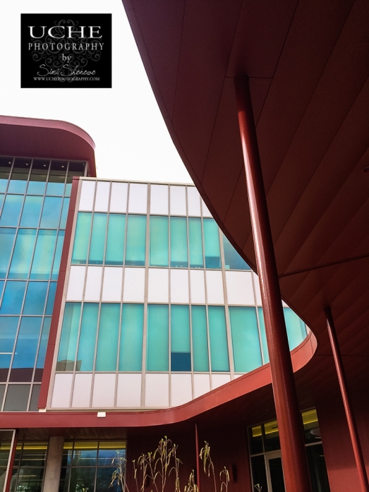 20150221.building curve normal shot.jpg
