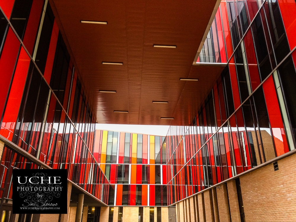 20150221.stripes in the alcove.jpg