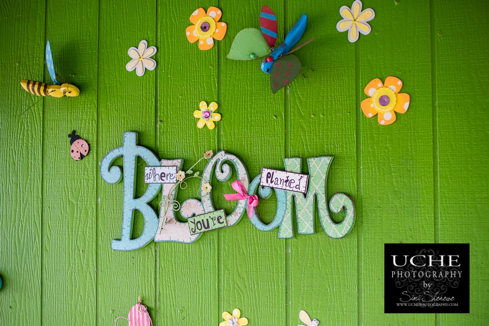 20150418.bloom where you're planted.jpg