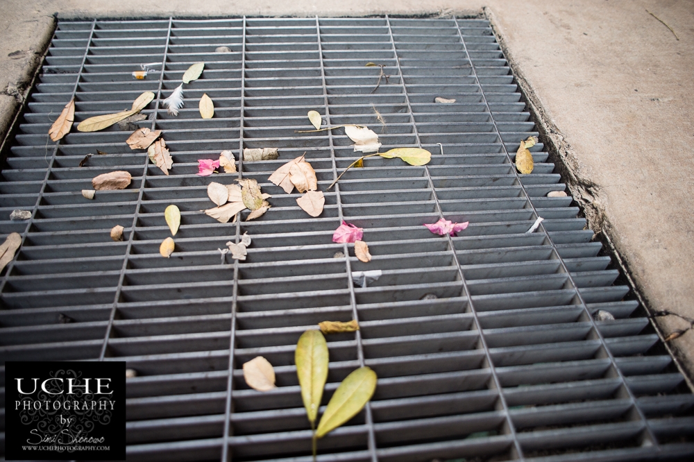 20150818.decorated drain