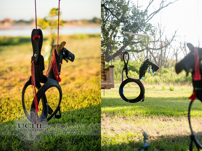 fancy tire swings