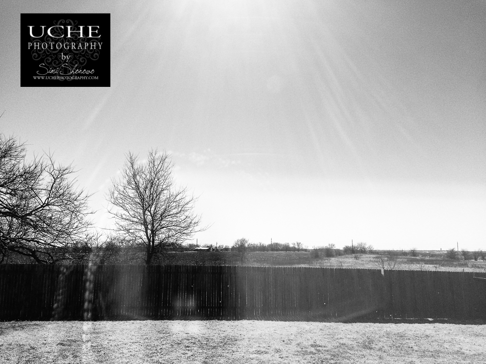 20160210.041.mobile365.bright sun view
