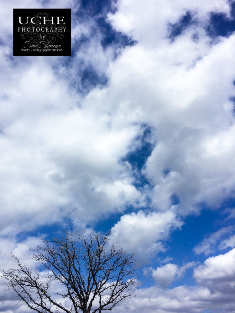 20160228.059.mobile365.stretching skyward