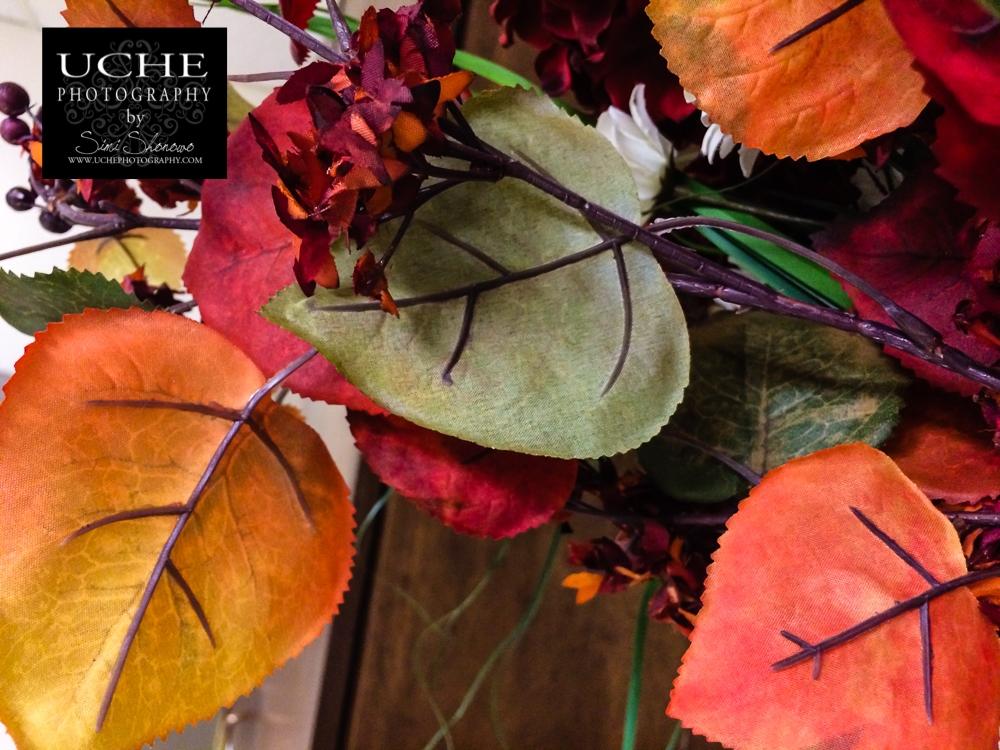 20161016.290.mobile365.fall colors
