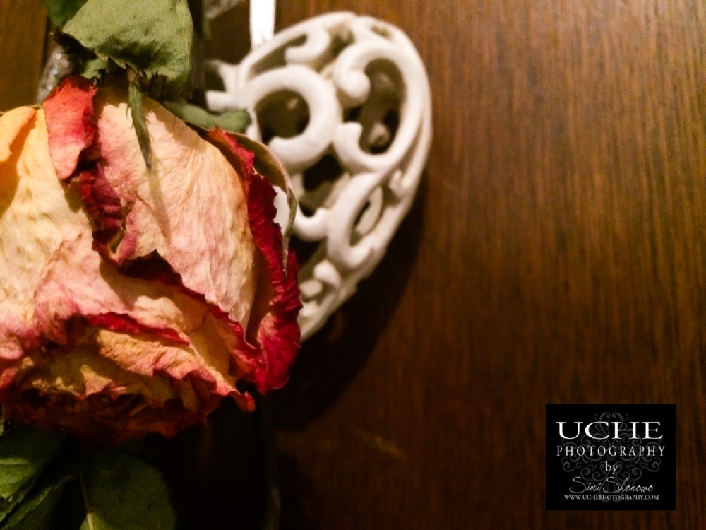 20161017.291.mobile365.rose over heart