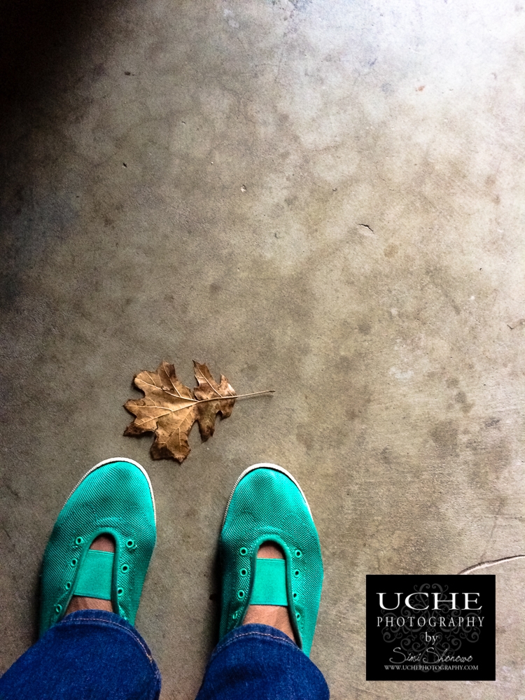 20161126.331.mobile365.leaf at green shoes