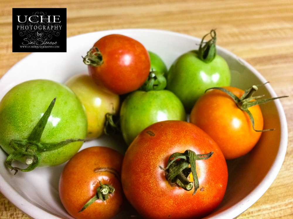 20161216.351.mobile365.half ripe batch