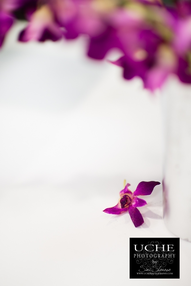 20150114.014.365.fruit from a tree