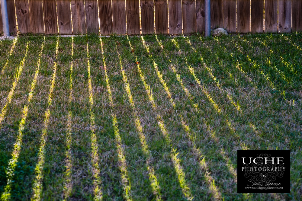 20150120.029.365.light peeking through