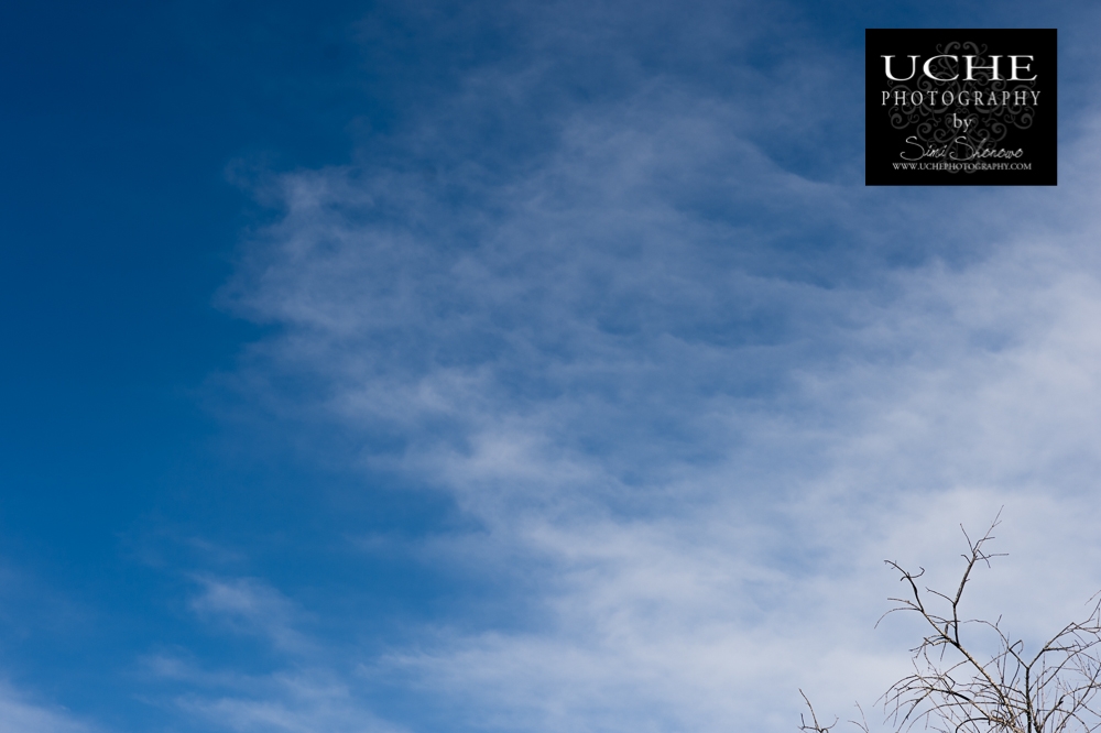 20150125.025.365.sky surf