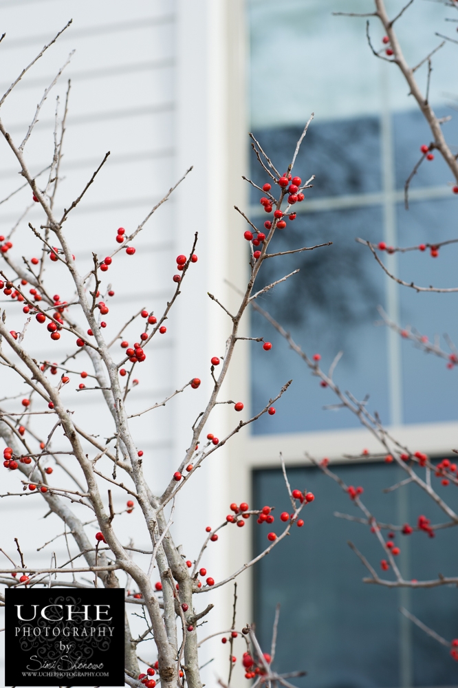 20150130.030.365.a splash of red