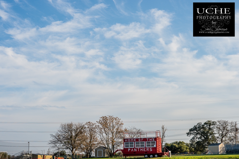 20150201.032.365.home of the panthers