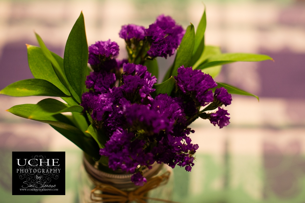 20150228.059.365.purple green.jpg