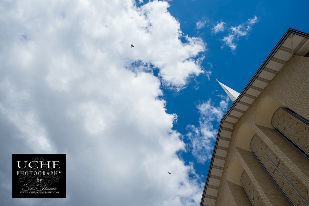 20150313.072.365.crosses, clouds, and birds.jpg