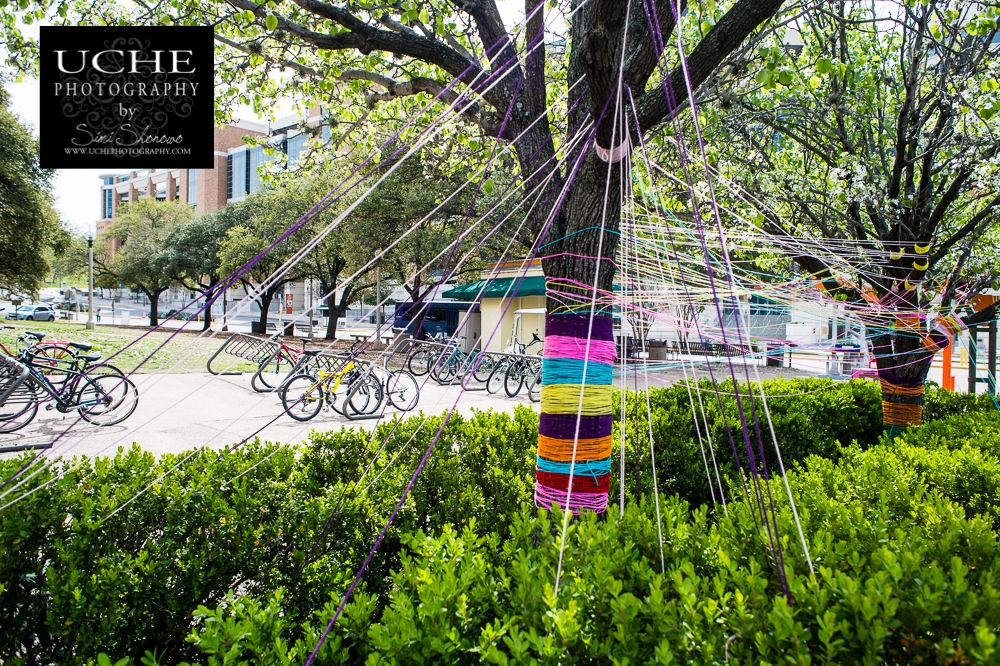 20150315.074.365.how to tie down a tree.jpg