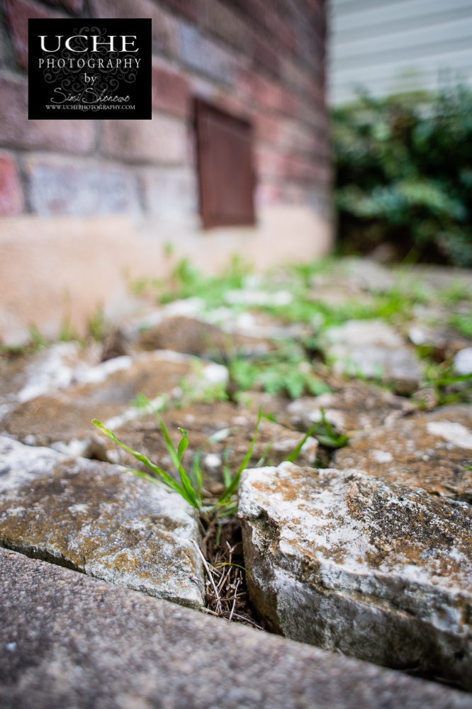 20150316.075.365.falling through the cracks.jpg