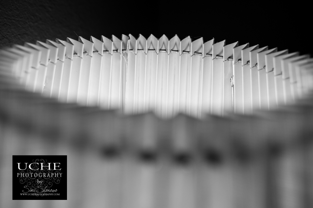 20150320.079.365.in the round.jpg