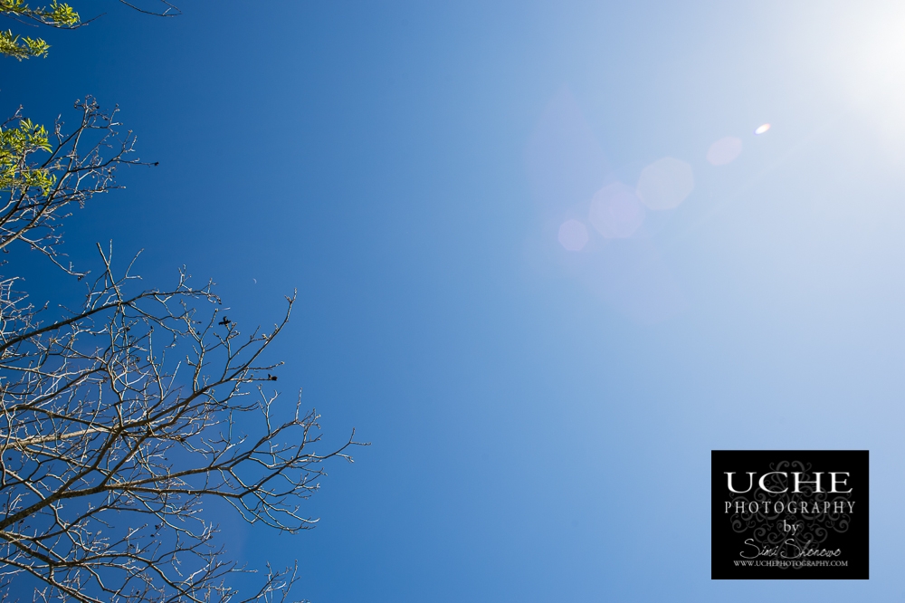 20150324.083.365.blue to sun.jpg