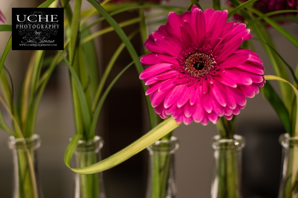 20150327.086.365.pink splash in green swirls.jpg