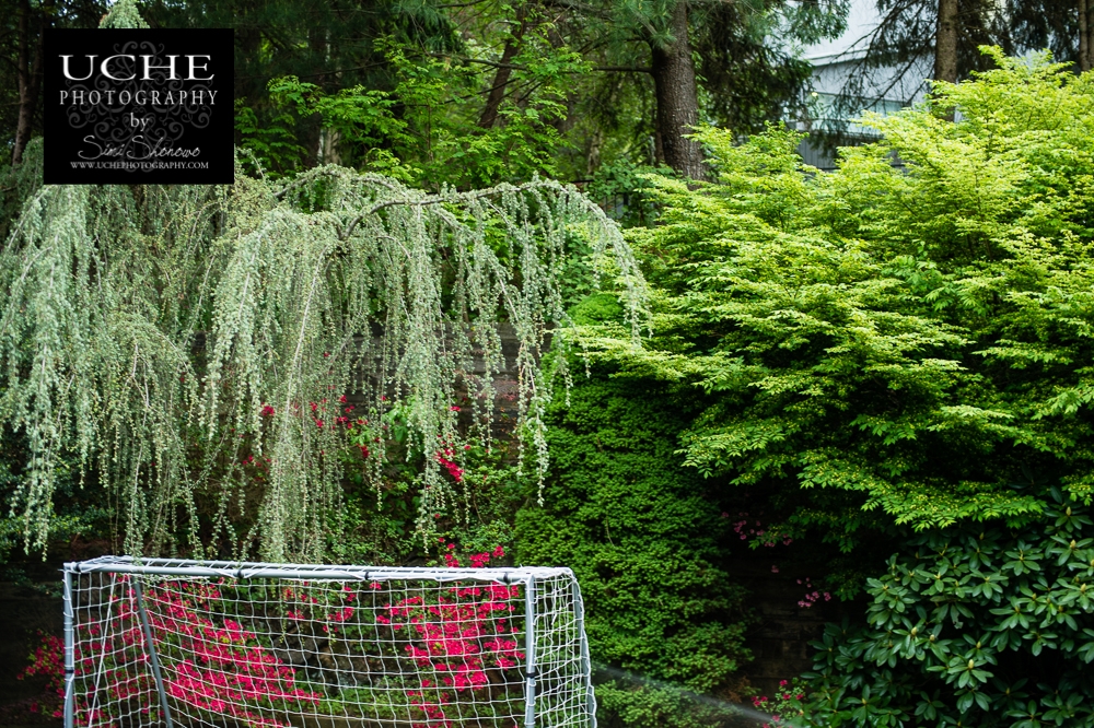 20150515.135.365.shooting at the goal