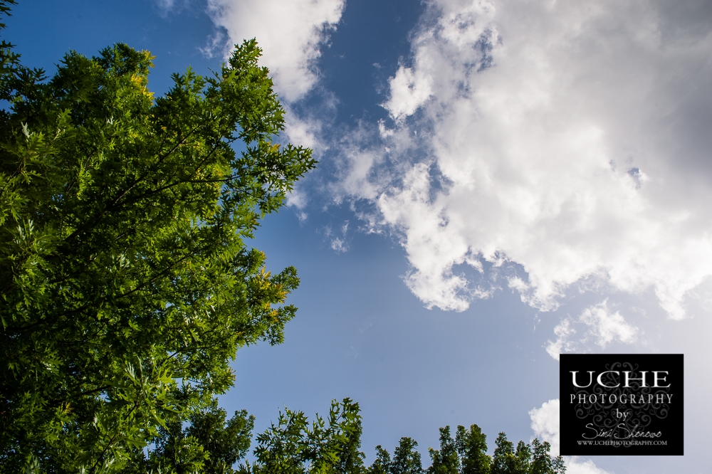 20150526.146.365.practice looking up