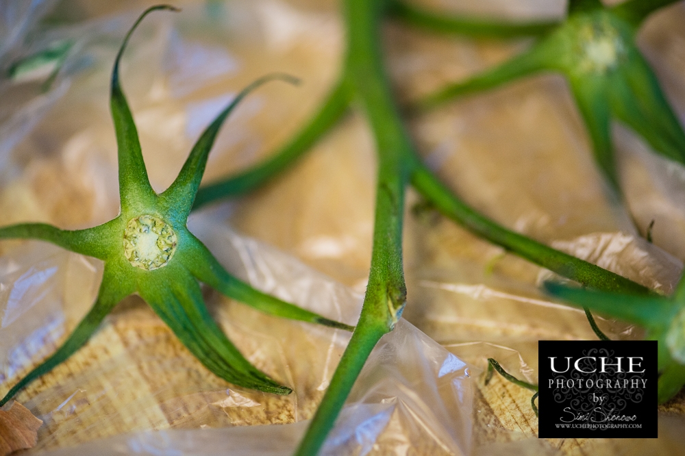 20150529.149.365.vegetable star