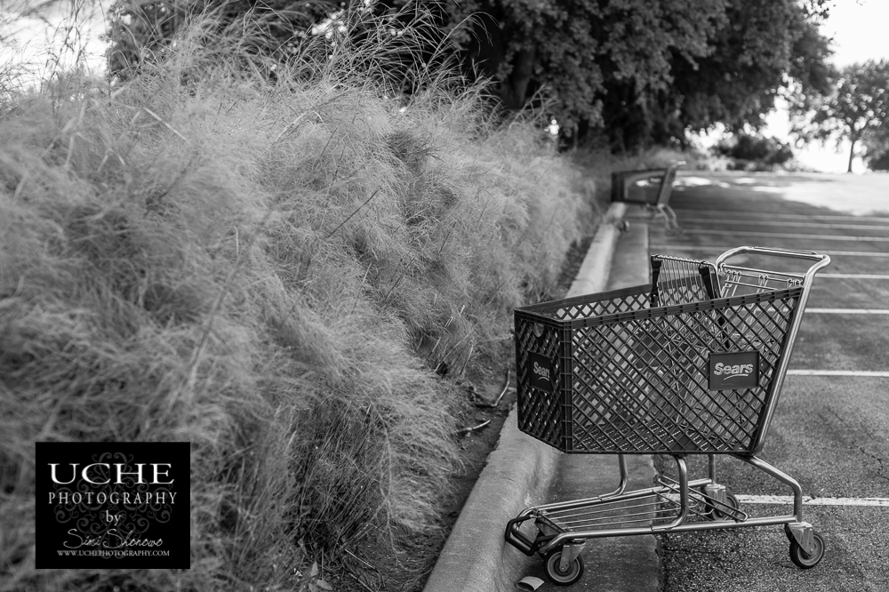 20150612.163.365.shopping sears
