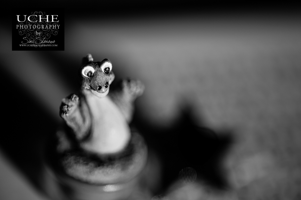 20150626.177.365.dinosaur boo!