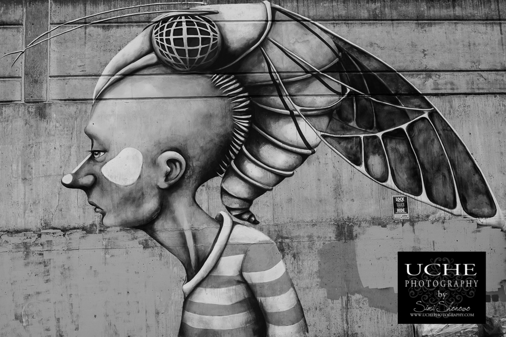 20150628.179.365.symbiotic?