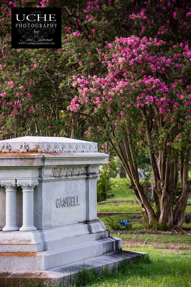 20150711.192.365.caswell in pink