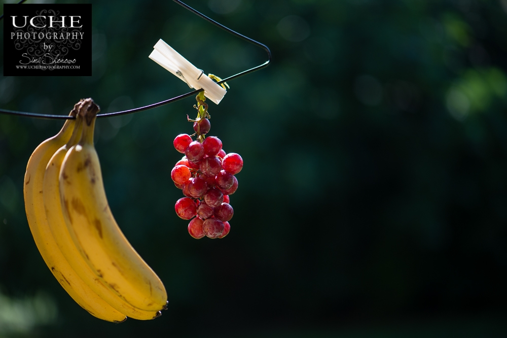 20150714.195.365.dried fruit