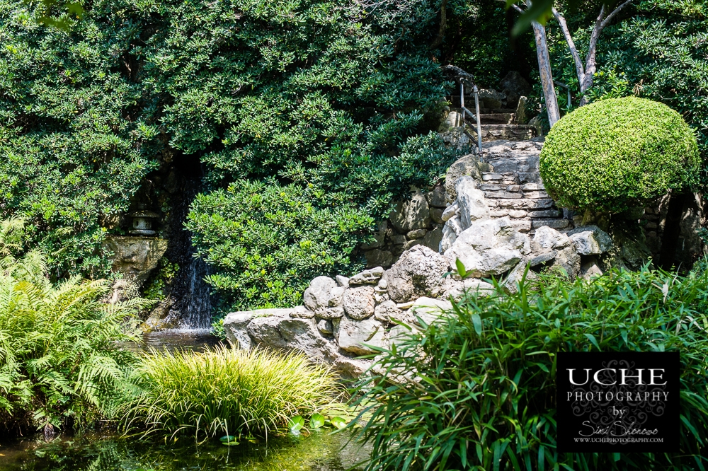 20150722.203.365.japanese garden view