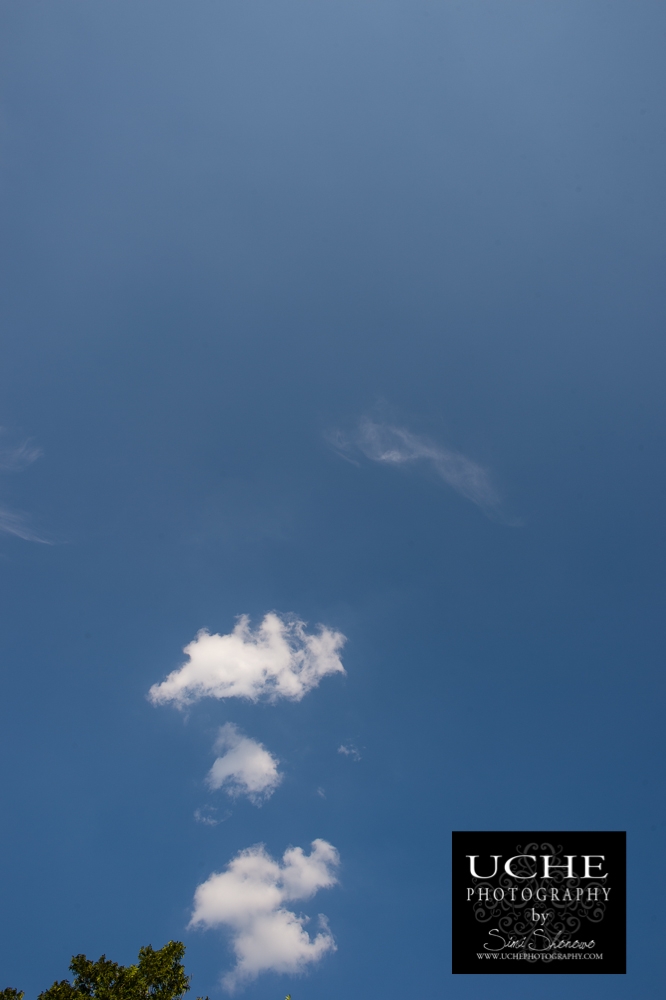 20150811.223.365.think tree thoughts