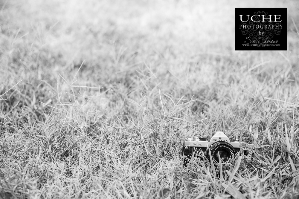20150831.243.365.in the weeds