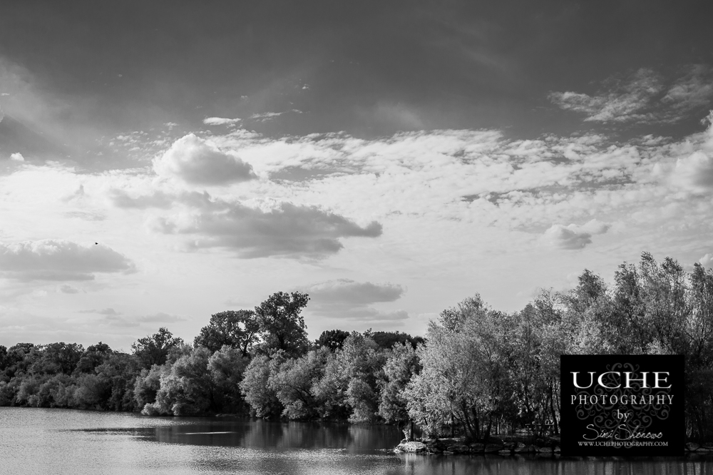 20150924.267.365.flying serene