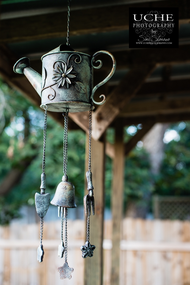 20150928.271.365.watering chimes