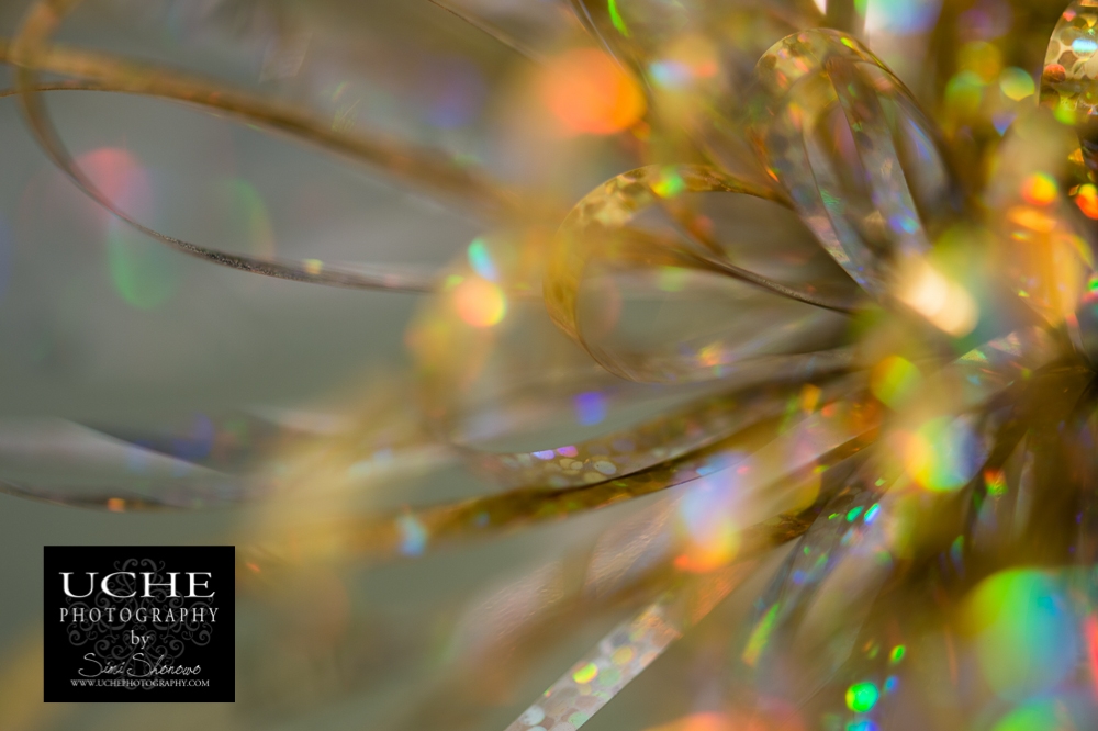 20151012.285.365.wrap it up