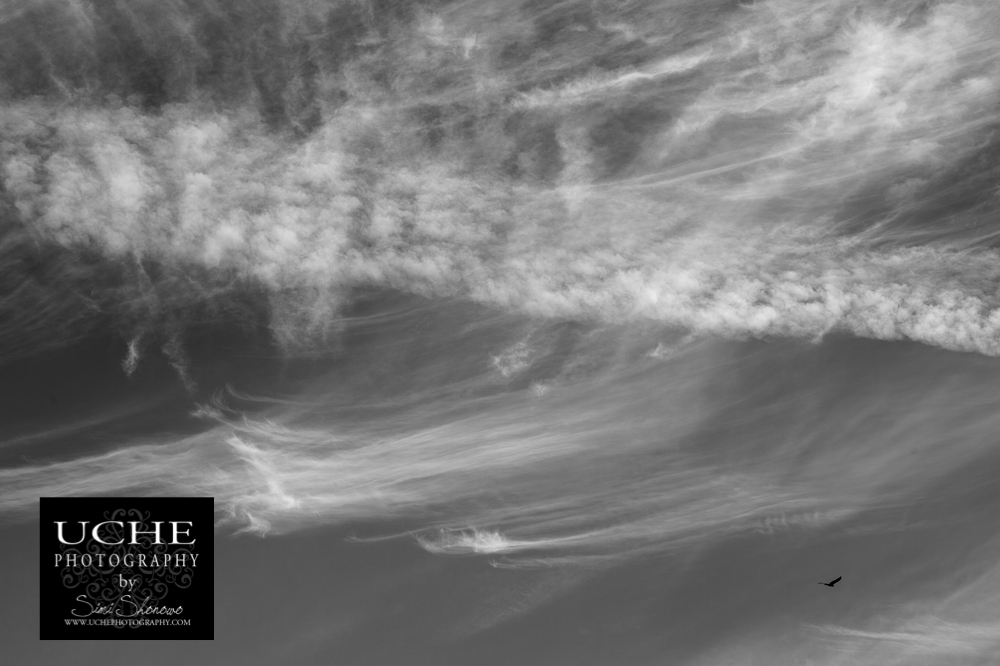 20151020.293.365.cloud trails soaring