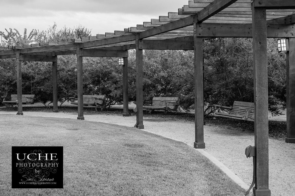 20151022.295.365.swing sets