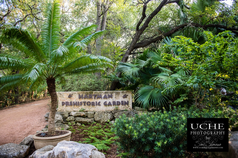 20151029.302.365.prehistoric garden
