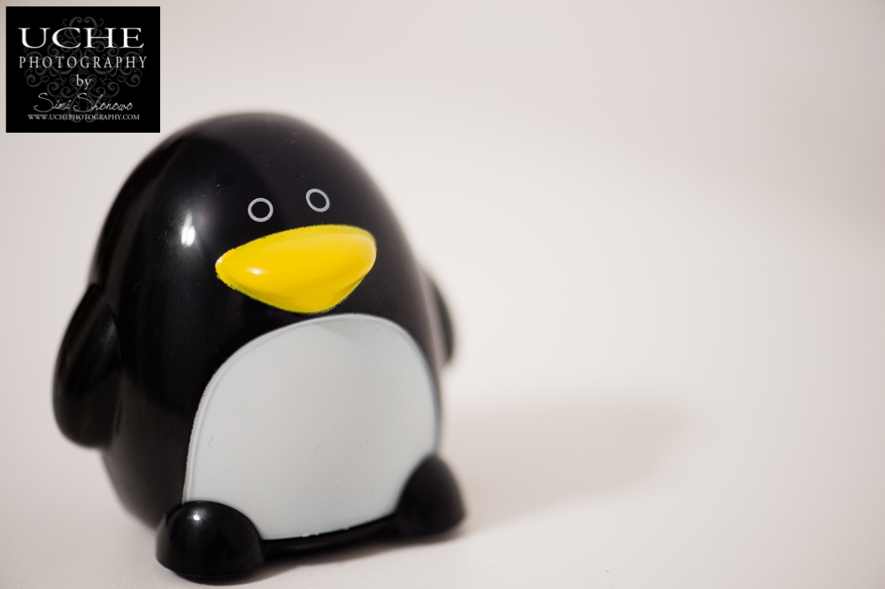 20151109.313.365.penguin