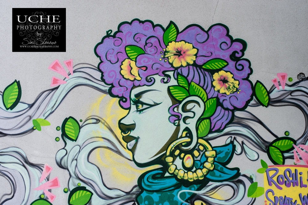 20151129.333.365.lady in the mural