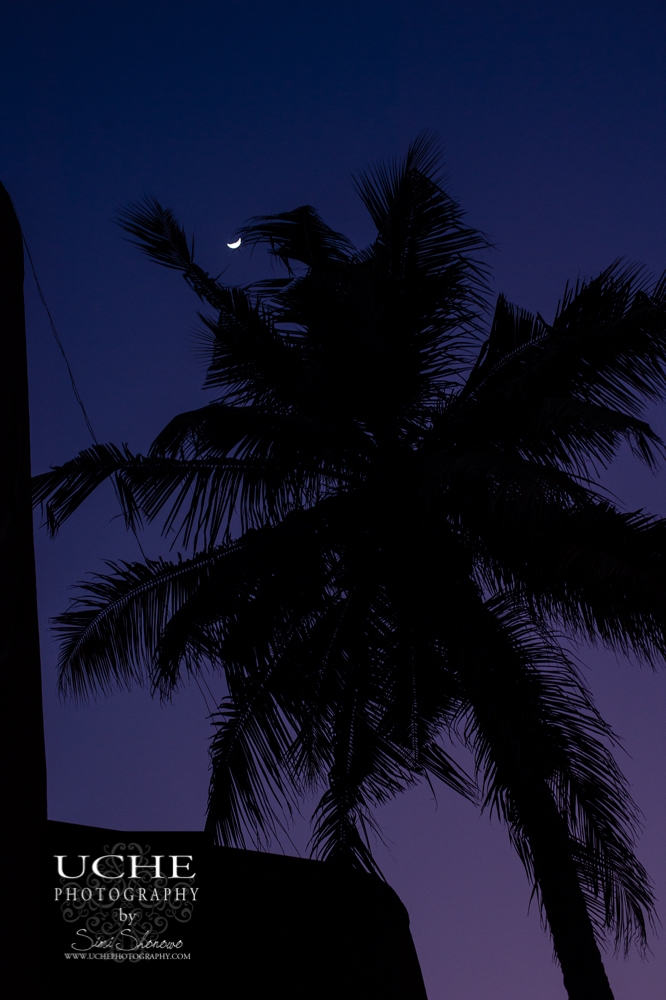 20151216.350.365.tropically framed moon