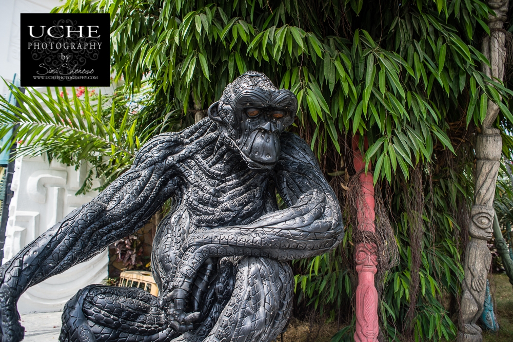 20151224.358.365.george of the jungle