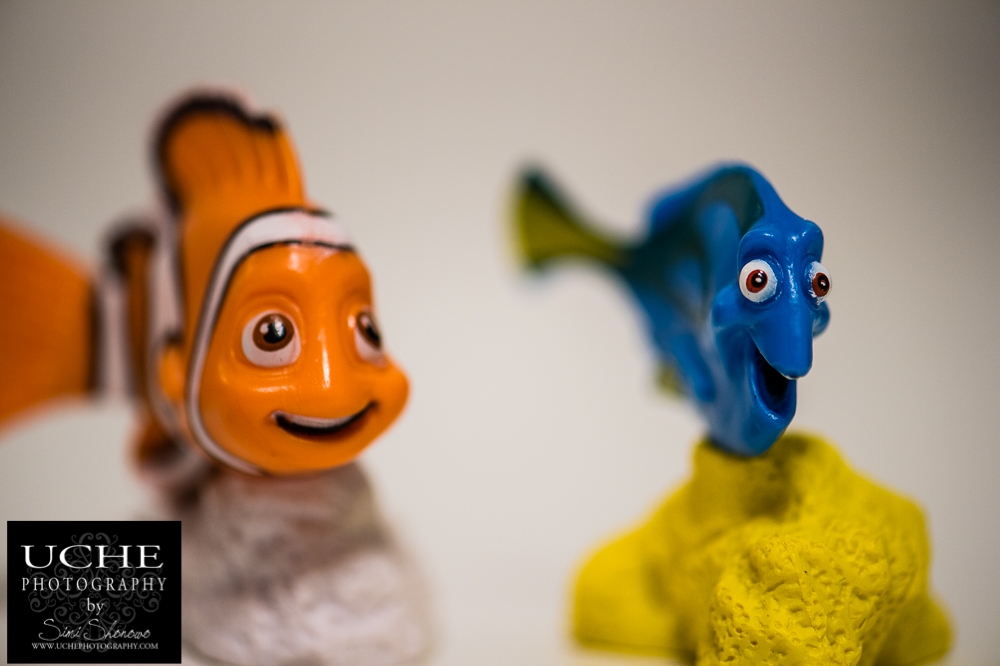 20160222.053.365.orange fish blue fish