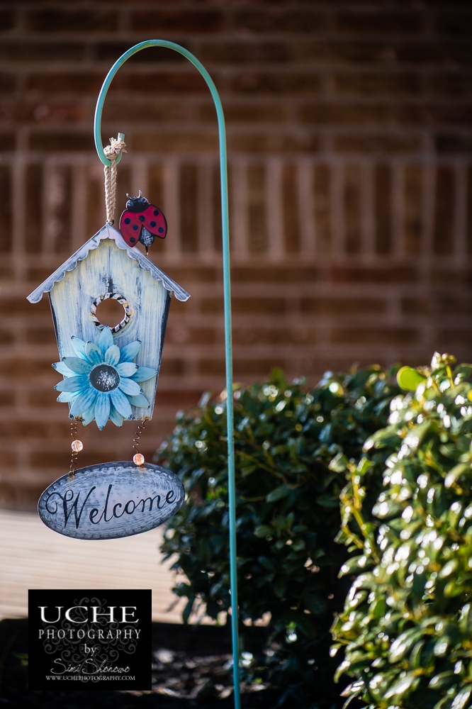 20160227.058.365.ladybug welcome home