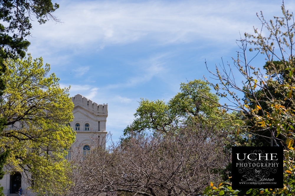 20160304.064.365.castle in the sky