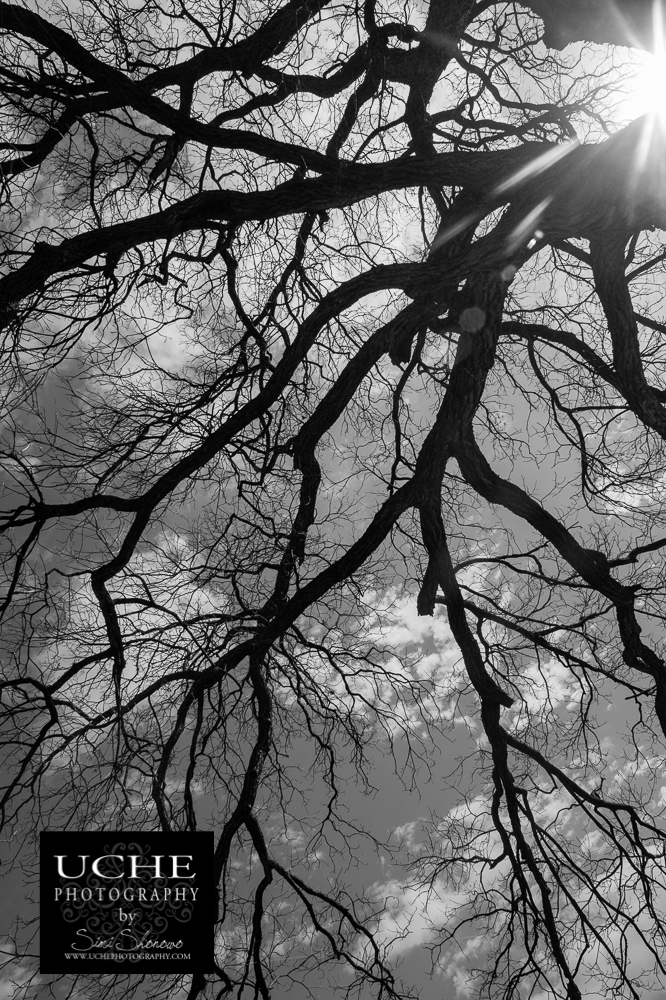 20160323.083.365.sky tributaries