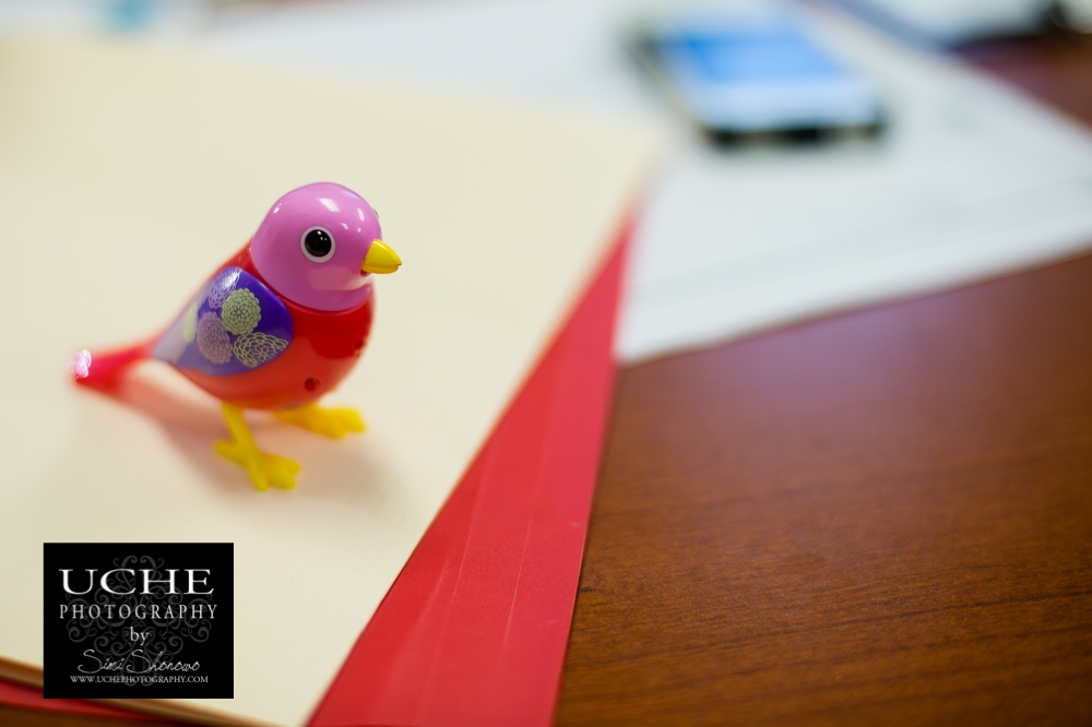 20160406.097.365.desk companion